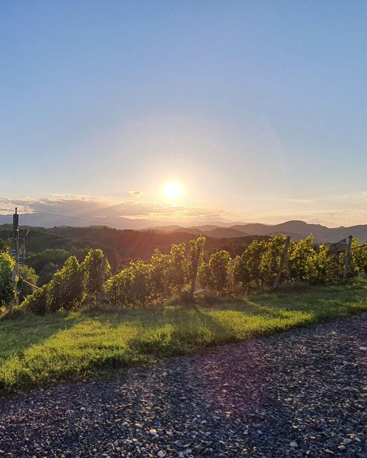 Mental Walk in der Südsteiermark – Gehen auf einem Weg in der Natur für mehr Klarheit