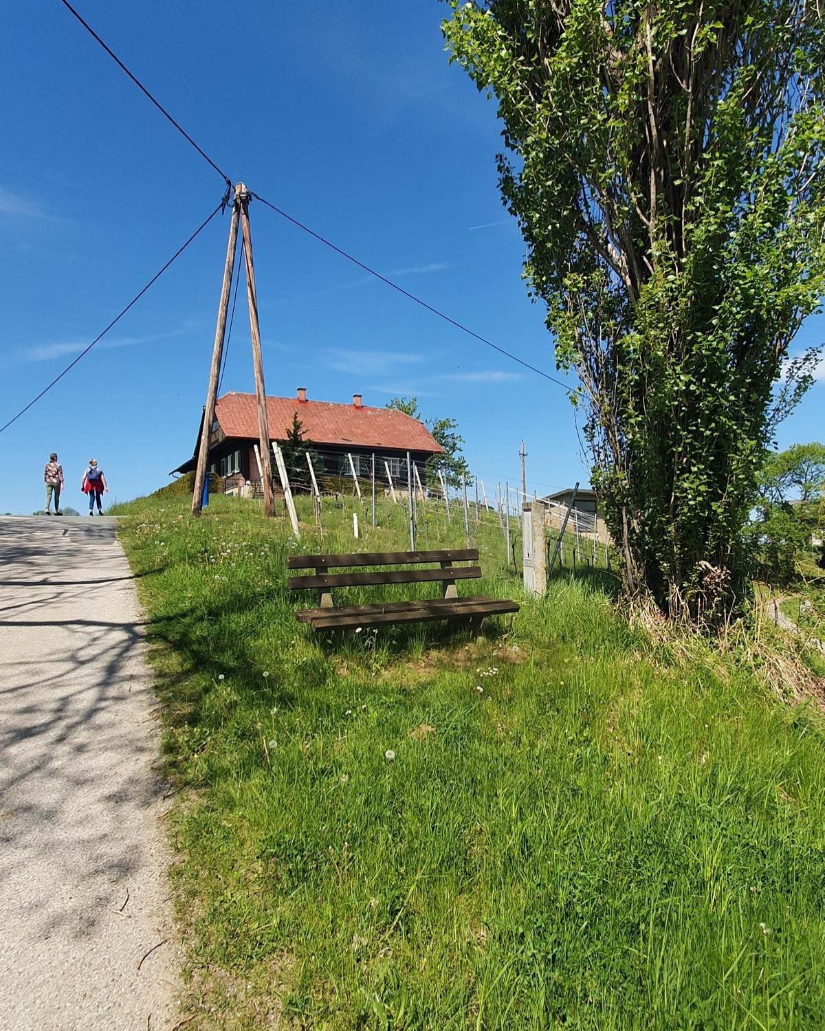 Mental Walk in der Südsteiermark – Weg in der Natur für Abstand und Klarheit